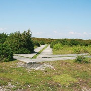 Ashley Walk Illuminated Target