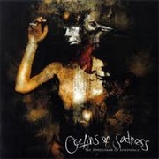The Arrogance of Ignorance - Oceans of Sadness (2008)