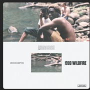 1999 Wildfire