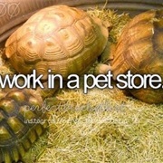 Work in a Pet Store