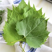 Grape Leaves