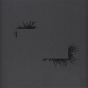 Felix K - Flowers of Destruction