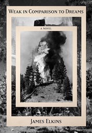 Weak in Comparison to Dreams (James Elkins)