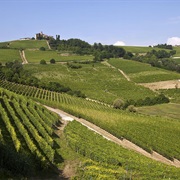 Langhe Hills