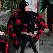 Spider (Claire, Modern Family)