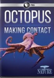 Octopus: Making Contact (2019)
