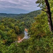 Mammoth Cave Area Biosphere Reserve, Kentucky, USA