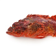 Armoured Stingfish Poison