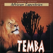 The Heart of Africa - Hennie Bekker