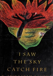 I Saw the Sky Catch Fire (T. Obinkaram Echewa)