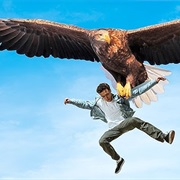 You're Grabbed by a Giant Eagle