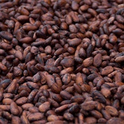 Trinidadian Cacao Beans