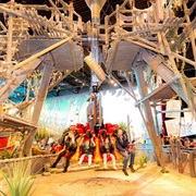 Anubis (Plopsa Indoor Coevorden)