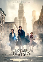 Fantastic Beasts and Where to Find Them - Colleen Atwood (2016)