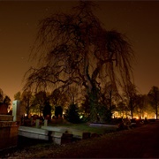Cemetery at Night