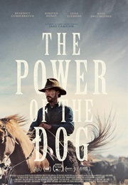 The Power of the Dog - Ari Wegner (2021)