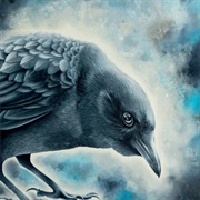 Big Big Train - The Transit of Venus Across the Sun