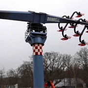 Wild Wings (Duinrel)