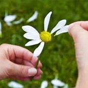 Loves Me, Loves Me Not