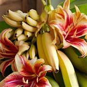 Bananas and Flowers