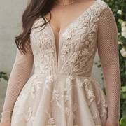 Appliques on Dotted Tulle