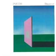 P E R S P E C T I V E - P-Model