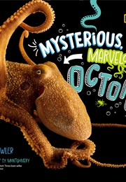 Mysterious, Marvelous Octopus (Paige Towler)