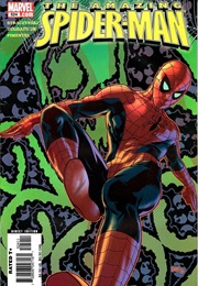 The Amazing Spider-Man #524 (J. Michael Straczynski & Mike Deodato Jr.)