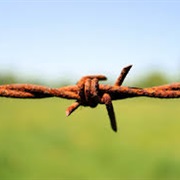 Barbed Wire