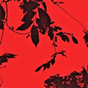 Trhä - Monta Ana Also