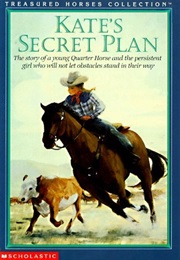 Kate's Secret Plan (Susan Saunders)
