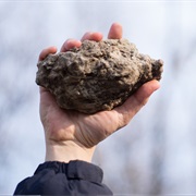 The Law Moses Commanded Us to Stone Such Women