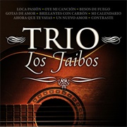 Besos De Fuego - Trio Los Jaibos
