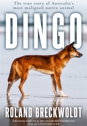 Dingo (Ronald Breckwoldt)