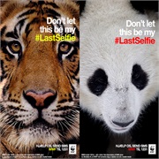 "#Lastselfie" - World Wildlife Fund (2014)
