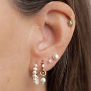 Multiple Earrings