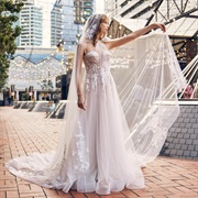 Hooded Cape Plus Train on Dress