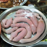 Gaebul (Penis Fish)