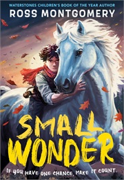 Small Wonder (Ross Montgomery)