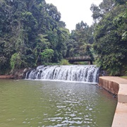 Malanda Falls, Malanda, Qld