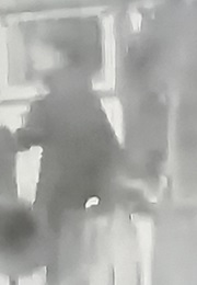 Li Hung Chang (1900)