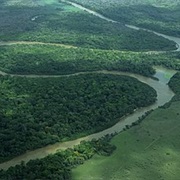 Rupununi River