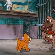 Don't Let Anyone Tell You Your Dreams Are Foolish or Pointless