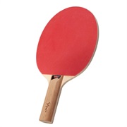 Ping Pong Paddle