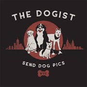The Dogist