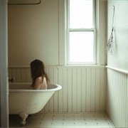 Nocturnal Animals (Skua)