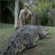 The Crocodile Hunter: Special Crocodile Hunter Marathon