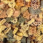 Insect Pasta
