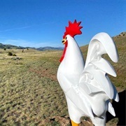 Chico Hot Springs Giant Chicken, Montana