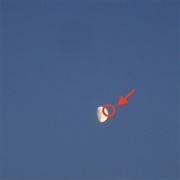 Cleopatrick - FAKE MOON